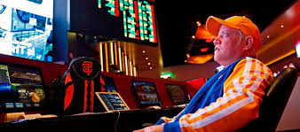 Официальный сайт Casino Cat
